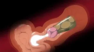 Gay Porn 4